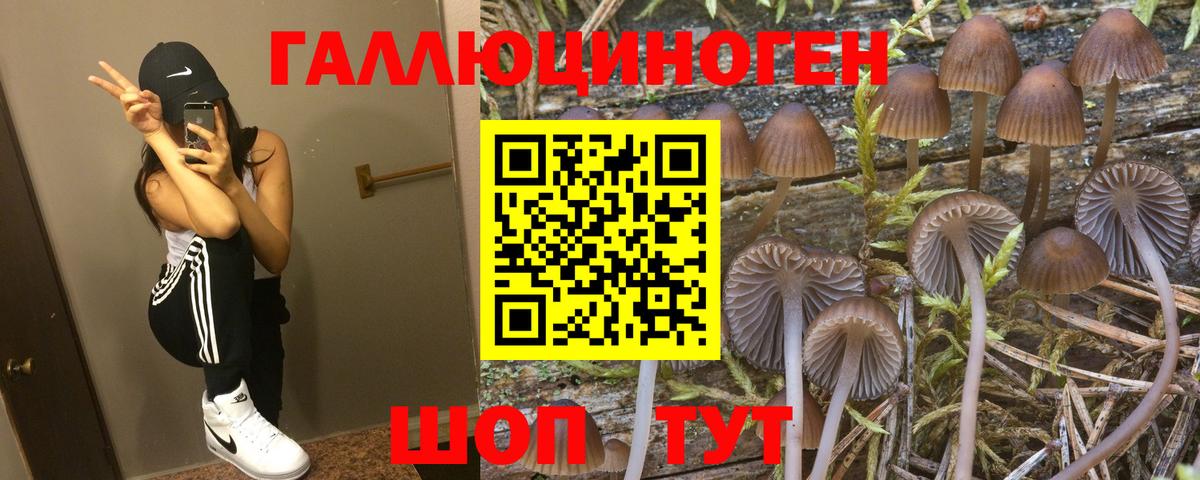 Псилоцибиновые грибы ЛСД Малоярославец