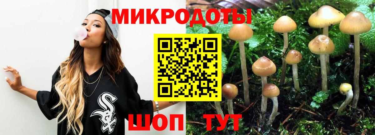 Псилоцибиновые грибы Cubensis  Вход с VPN  Псилоцибиновые грибы мицелий  Малоярославец 